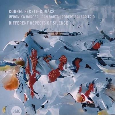 Different Aspects of Silence - CD Audio di Kornel Fekete-Kovacs