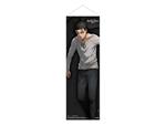 Attack On Titan Slim Wallscroll Eren Jaeger 30 X 90 Cm POPbuddies