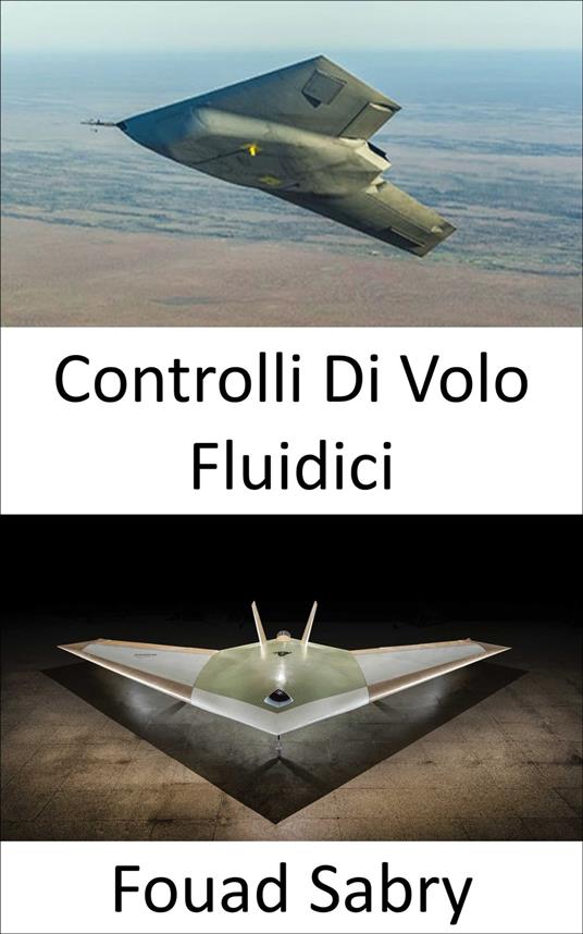 Controlli Di Volo Fluidici - Fouad Sabry,Cosimo Pinto - ebook