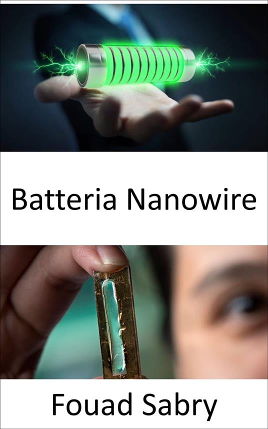 Batteria Nanowire - Fouad Sabry,Cosimo Pinto - ebook