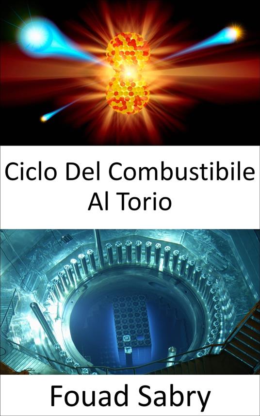 Ciclo Del Combustibile Al Torio - Fouad Sabry,Cosimo Pinto - ebook