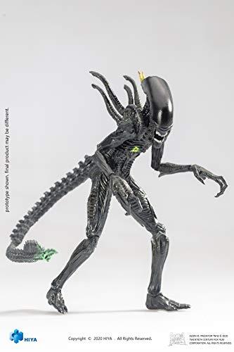 Figura Blowout Alien Warrior Alien vs Predator 10cm - 4