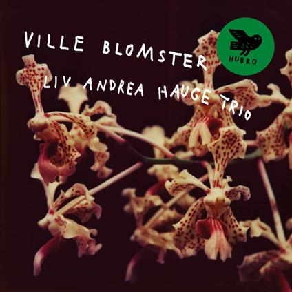 Ville Blomster - Vinile LP di Liv Andrea Hauge Trio