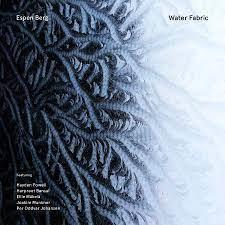 Water Fabric - CD Audio di Espen Berg
