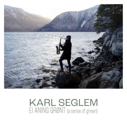 Ei Aning Gront - CD Audio di Karl Seglem