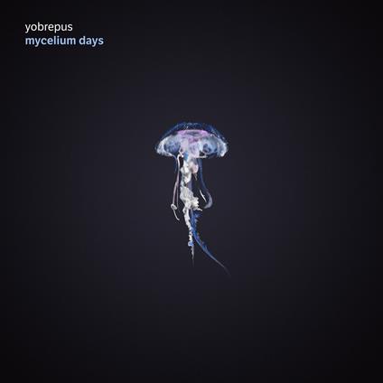 Mycelium Days - Vinile LP di Yobrepus