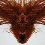 A Collection of Hair - CD Audio di Dave Phillips