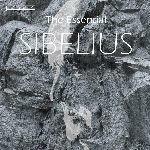 The Essential Sibelius