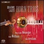 Horn Trios - CD Audio di Johannes Brahms,György Ligeti,Kalevi Aho,Brahms-Aho-Ligeti