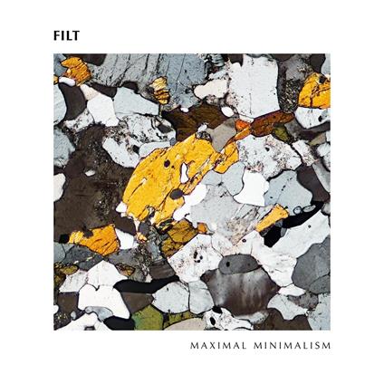 Maximal Minimalism - Vinile LP di Filt