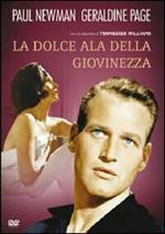 La dolce ala della giovinezza (DVD)