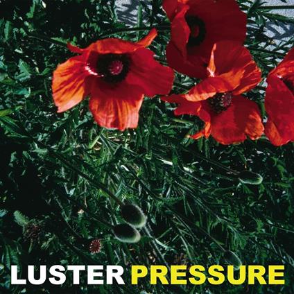 Pressure - Vinile LP di Luster