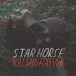 You Said Forever