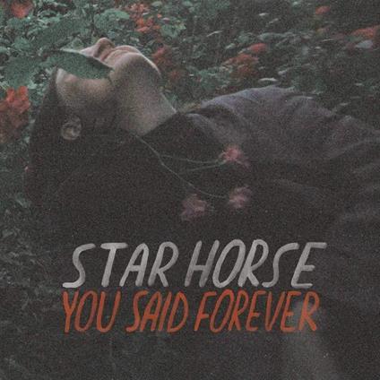 You Said Forever - Vinile LP di Star Horse