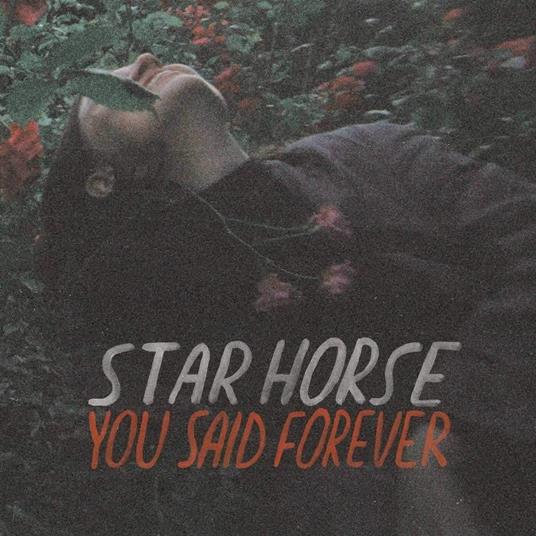 You Said Forever - Vinile LP di Star Horse