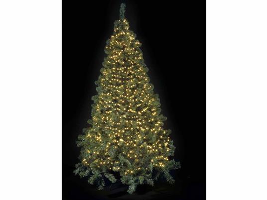 Luci per Albero di Natale con 2500 Led Bianco Caldo Cavo da 50 Metri Luci  Natalizie per Alberi Super Luminosi Uso Interno ed Esterno - - Idee regalo  | IBS