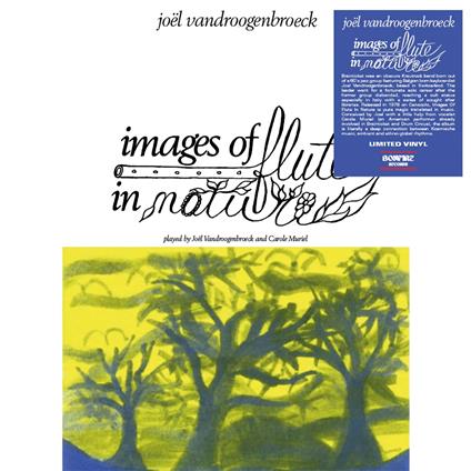 Images Of Flute In Nature - Vinile LP di Joel Vandroogenbroeck