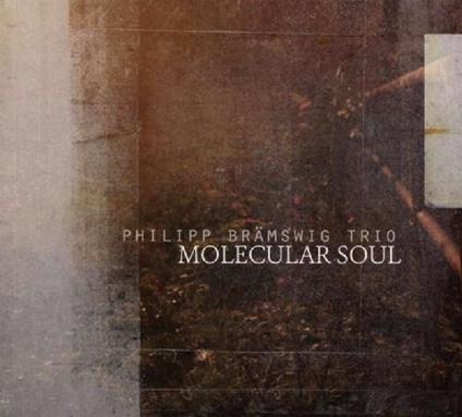 Molecular Soul - CD Audio di Philipp Bramswig