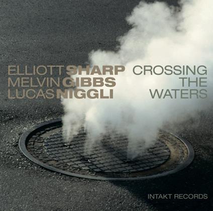 Crossing the Waters - CD Audio di Elliott Sharp,Lucas Niggli,Melvin Gibbs