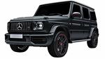 Mercedes G63 AMG auto radiocomandata