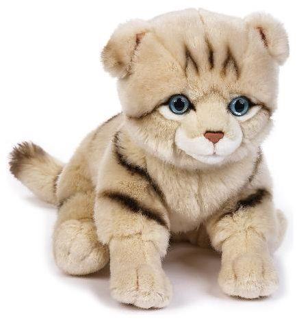 MY PUPPY Kitty Gatto Scottish Peluche 631903