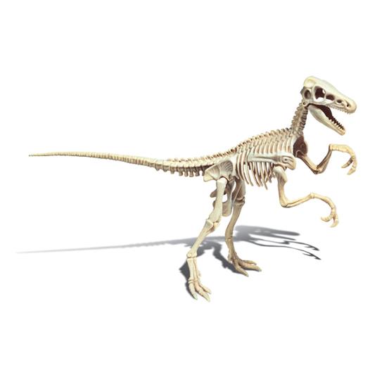 Archeogiocando Velociraptor Luminoso al Buio - 2