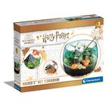 Harry Potter - Terrarium