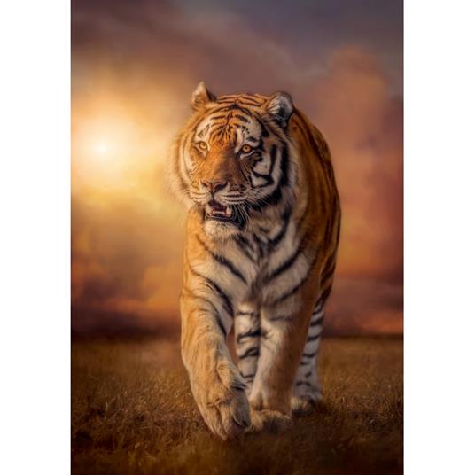 Puzzle 1500 Pz. High Quality Collection. Tiger - 2