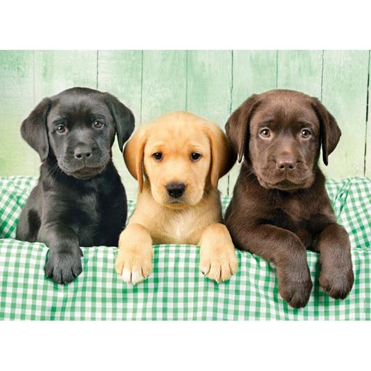 Puzzle Clementoni 1000 pezzi. I tre Labrador - 3