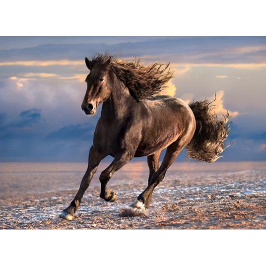 Free horse 1000 pezzi High Quality Collection - 2