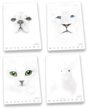 Confezione da 10 quaderni, Maxi Quaderno Monocromo White 38Ff, 1R, a righe