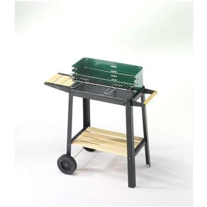 Barbecue a carbone Green Line 47166