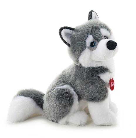 Husky Marcus M Trudi (22272)