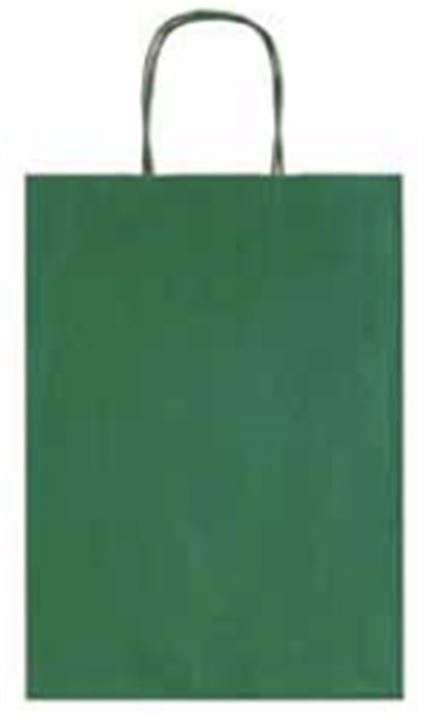 Confezione Pz 25 busta Regalo Allegra Carta Tu 36x12x41cm Verde Rigatino Int.avana