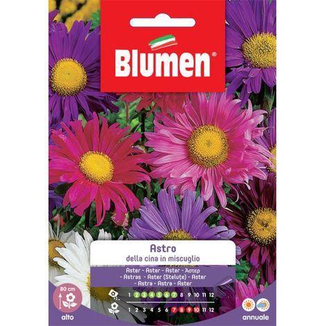 Sementi Di Astro Della Cina In Miscuglio Blumen Semi Seeds Giardino Fiori  Aiuole - Blumen - Casa e Cucina | IBS