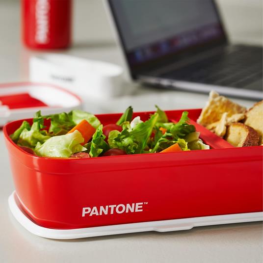 Pantone - Lunch Box, porta pranzo stile bento con divisorio interno. Ideale per l'ufficio o la scuola. 12x7x20,7 - Giallo - 4