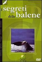 I segreti delle balene (DVD)