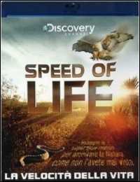 Film Speed of life. La velocità della vita 