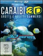 Caraibi. Grotte e relitti sommersi 3D