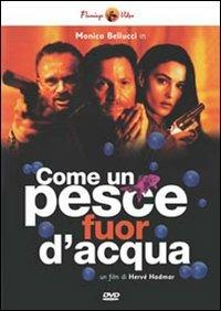 Come un pesce fuor d'acqua di Hervé Hadmar - DVD