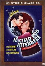 Il cielo può attendere (DVD)