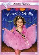 Piccola stella