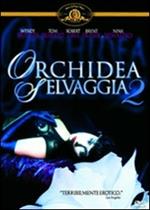 Orchidea selvaggia 2