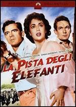 La pista degli elefanti (DVD)