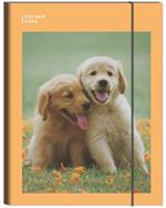 Cartelletta con elastico Ds01 Colour Code Animal Snap - 25 x 34 cm