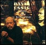 Into the Lowering Sky - CD Audio di David Essig