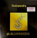 Scolopendra