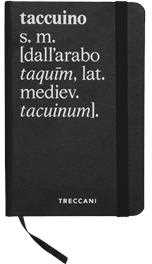 Cartoleria Taccuino Nero, Bianco a Righe Piccolo Treccani Definizione