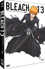 Bleach - Arc 13: Zanpakuto: The Alternate Tale (Eps. 230-265) (5 Dvd) (First Press)