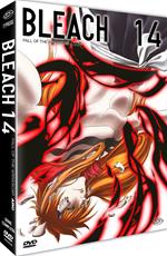 Bleach - Arc 14 Part 1: Fall Of The Arrancar (Eps. 266-291). First Press (4 DVD)